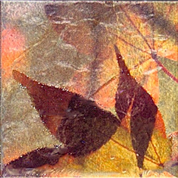 Set stickere autocolante faianta decorativa 15cm x 15cm model natura