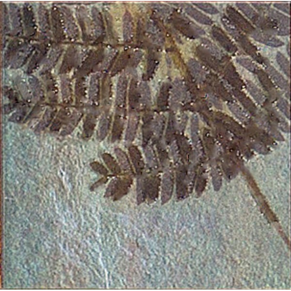 Set stickere autocolante faianta decorativa 20cm x 20cm model frunza gri cu maro