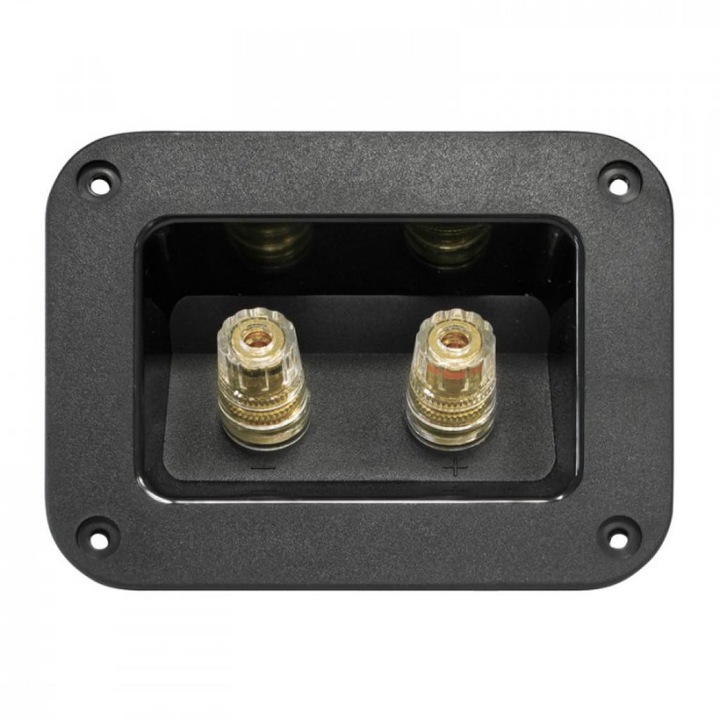 Terminale Boxe Dynavox HE