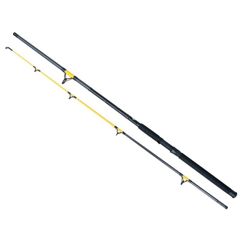 Lanseta Amestec Baracuda Catfish Fighter 2402, 2 Tronsoane, 2.4 M