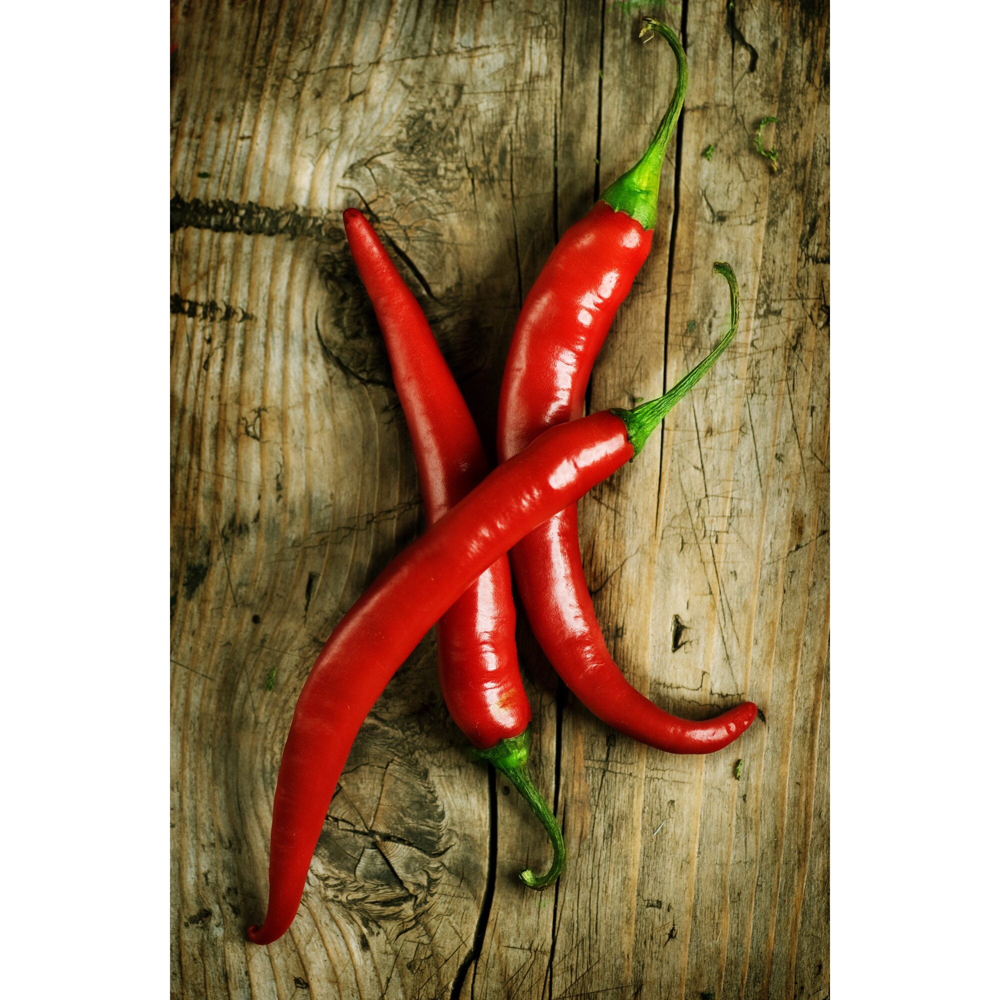 Tablou canvas red chilli, 70x50 cm