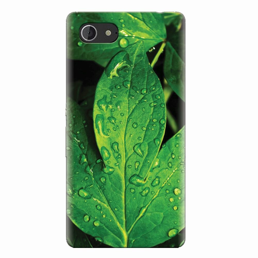 Husa silicon pentru Sony Xperia E3, Leaves And Dew