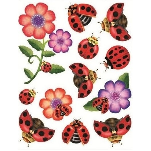 Sticker pentru geam, flori si buburuze, 30 x 38 cm, W2408.4