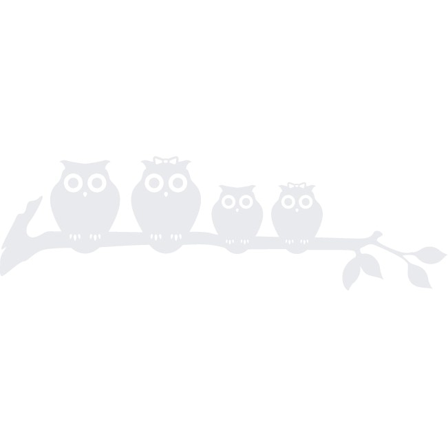 Sticker auto - Familie de bufnite - Alb polar - 45x13 cm