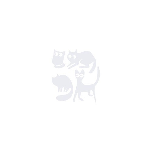 Sticker auto - Pisici speriate (pachet) - Alb polar - 30x33 cm
