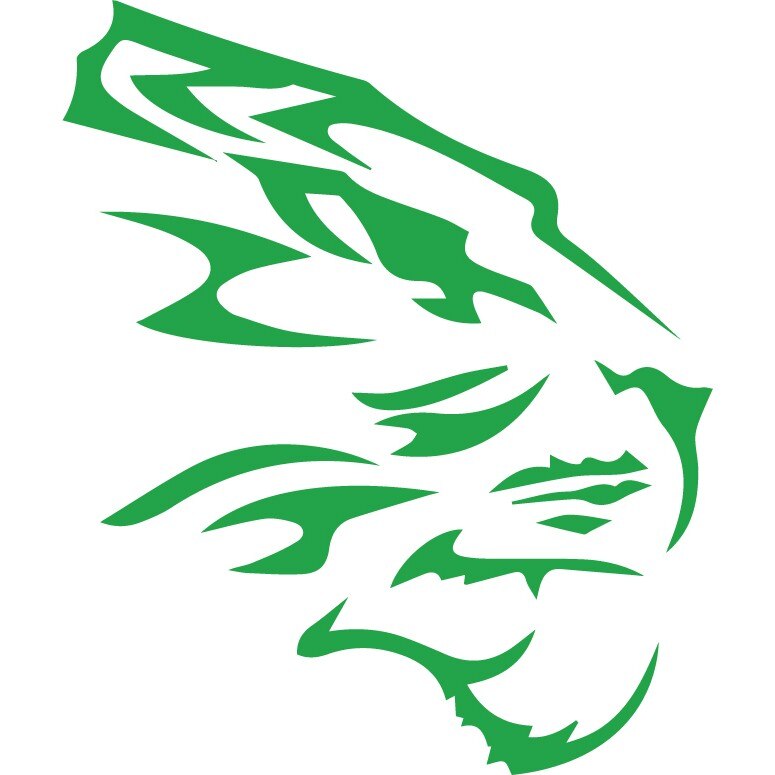 Sticker auto - Cap de tigru - Verde - 50x60 cm