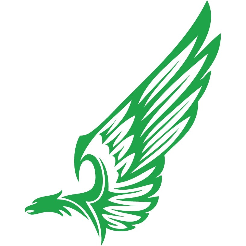 Vulturul tribal - Sticker Decorativ - Verde - 83 x 104 cm