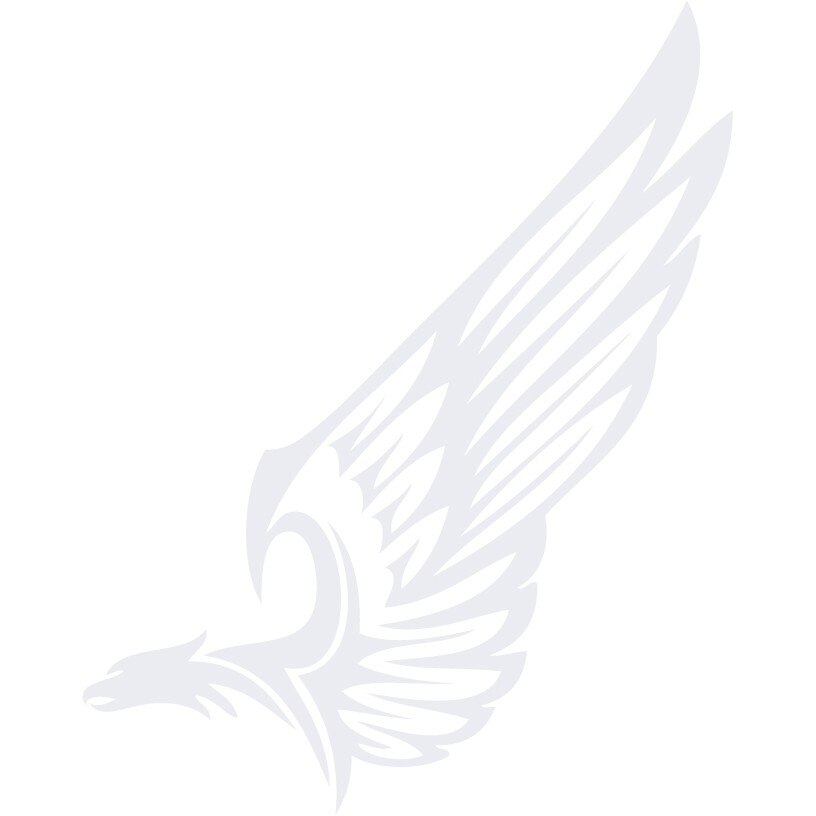 Vulturul tribal - Sticker Decorativ - Alb polar - 110 x 138 cm