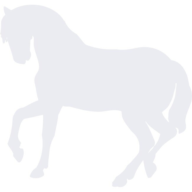 Calul - Sticker Decorativ - Alb polar - 86 x 83 cm