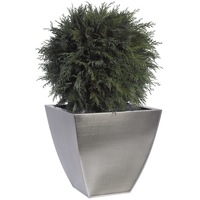 planta stabilizata thuja sphere topiary 65 cm imagen 24_0_
0