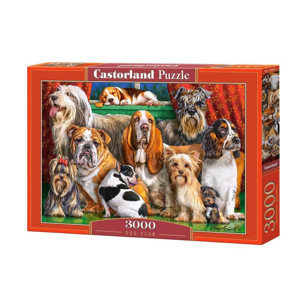 Puzzle Castorland, Clubul Cateilor, 3000 piese