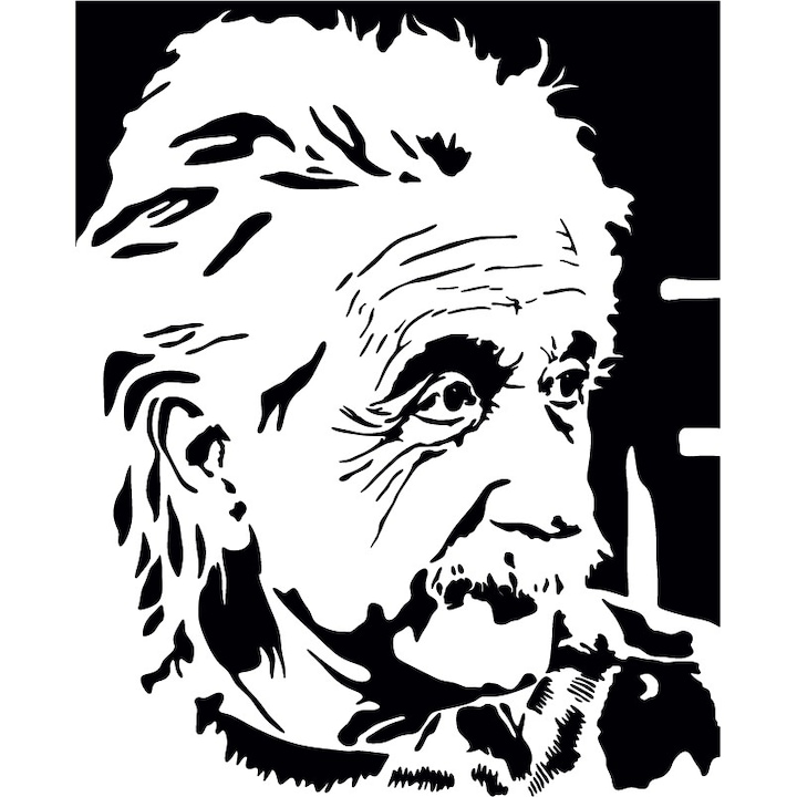 Albert Einstein - Sticker Decorativ - Negru - 110 x 136 cm