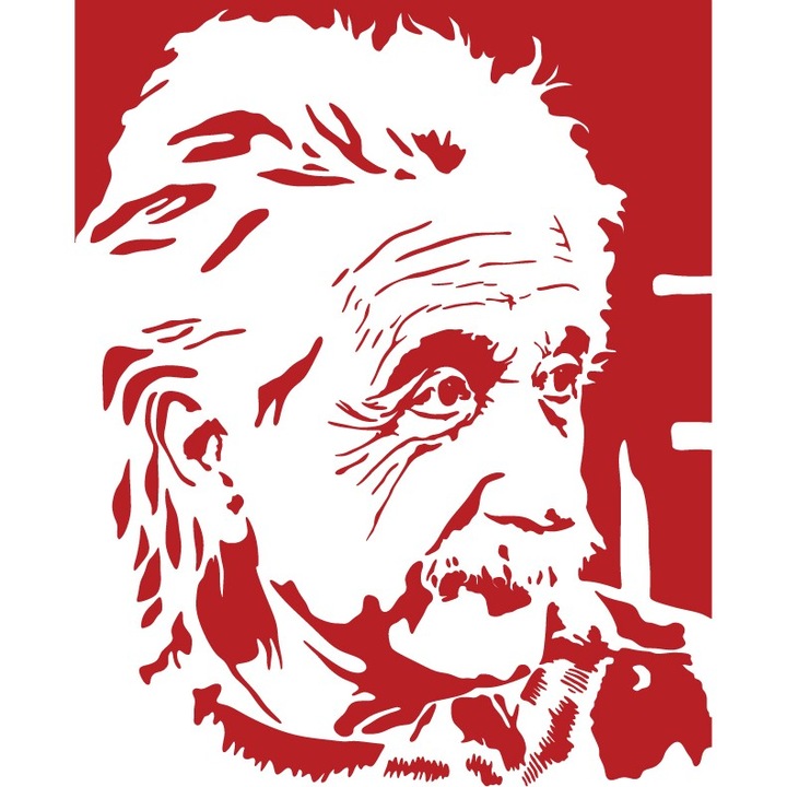 Albert Einstein - Sticker Decorativ - Rosu Cardinal - 110 x 136 cm