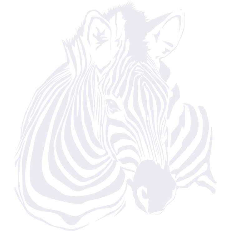 Zebra - Sticker Decorativ - Alb polar - 83 x 94 cm