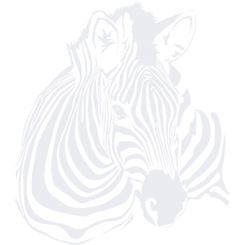 Zebra - Sticker Decorativ - Alb polar - 110 x 125 cm Zebra - Sticker Decorativ - Alb polar - 110 x 125 cm