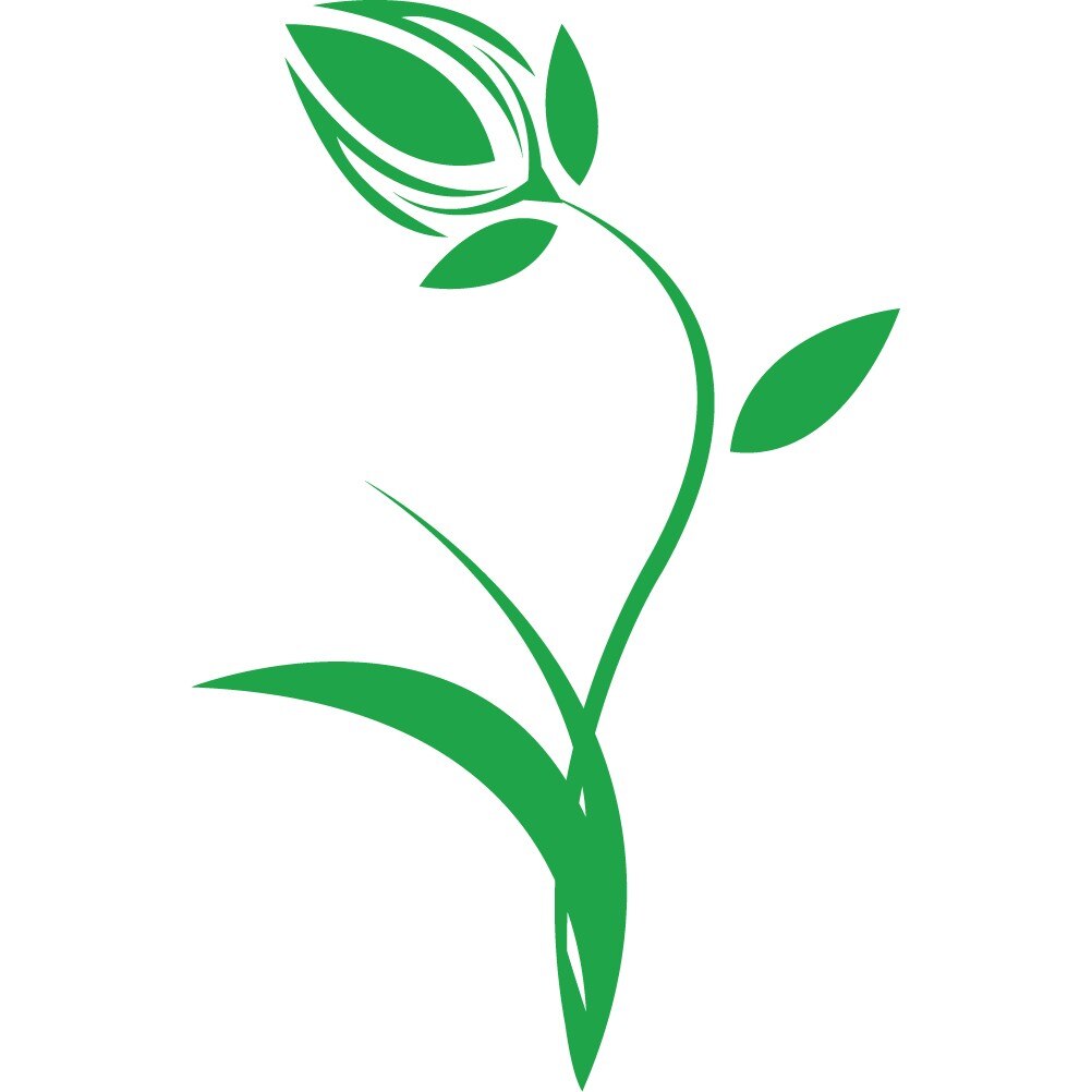 Laleaua - Sticker Decorativ - Verde - 116 x 75 cm