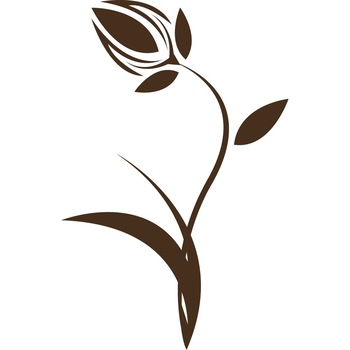 Laleaua - Sticker Decorativ - Choco - 116 x 75 cm Laleaua - Sticker Decorativ - Choco - 116 x 75 cm