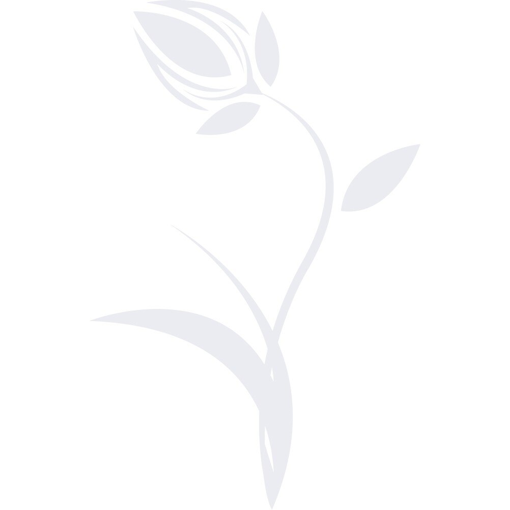 Laleaua - Sticker Decorativ - Alb polar - 116 x 75 cm