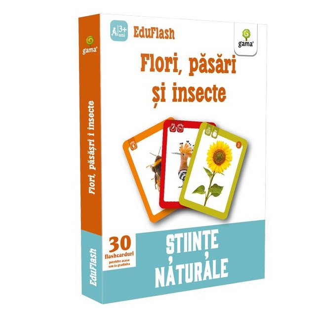 Flori, pasari si insecte