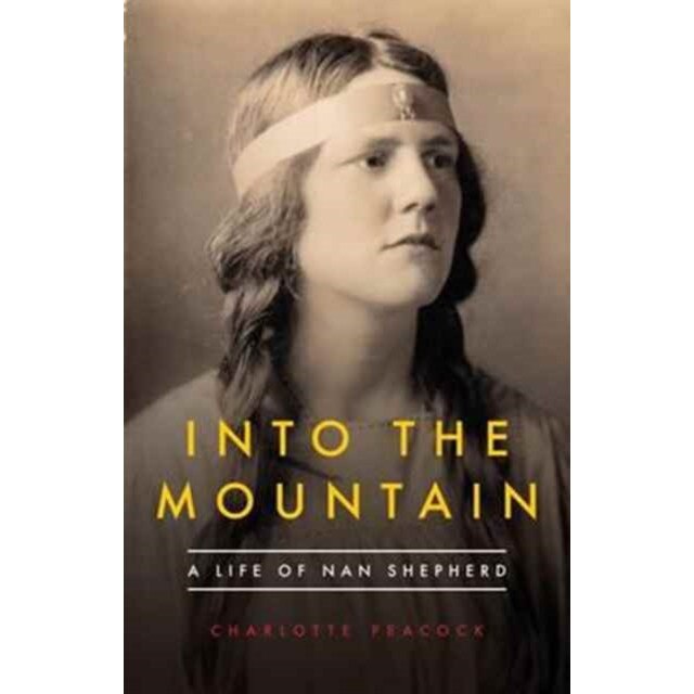 Into the Mountain de Charlotte Peacock