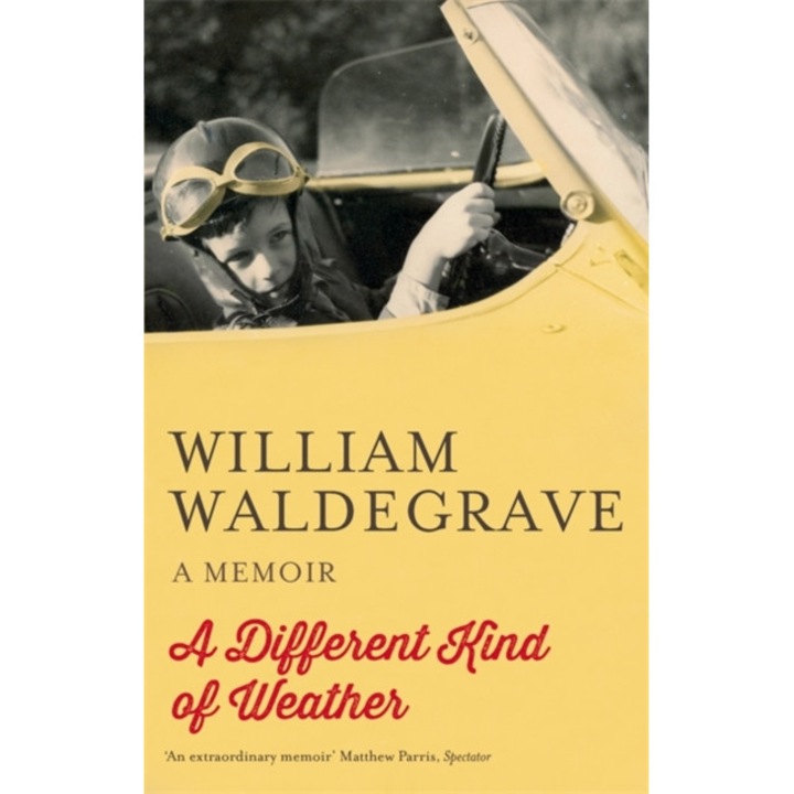 A Different Kind of Weather de William Waldegrave