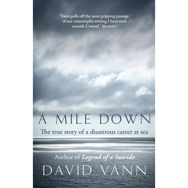 A Mile Down de David Vann