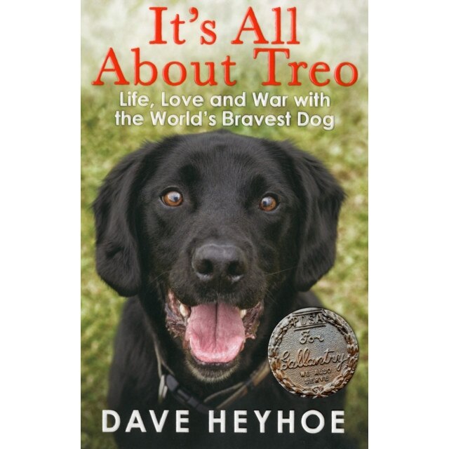 It's All About Treo de Damien Lewis