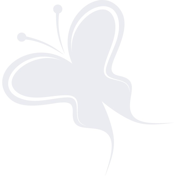 Fluturele - Sticker Decorativ - Alb polar - 83 x 85 cm