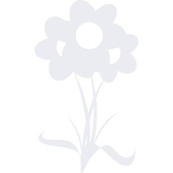 Decoratiune florala - Sticker Decorativ - Alb polar - 100 x 166 cm Decoratiune florala - Sticker Decorativ - Alb polar - 100 x 166 cm