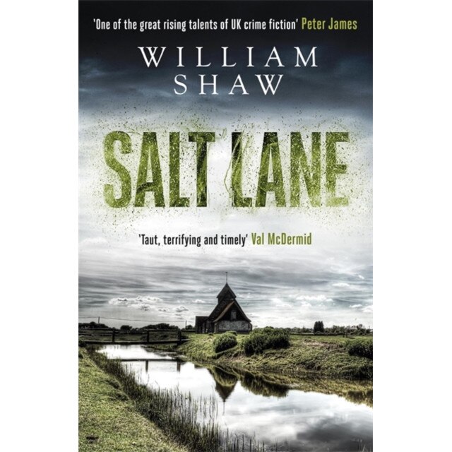 Salt Lane de William Shaw