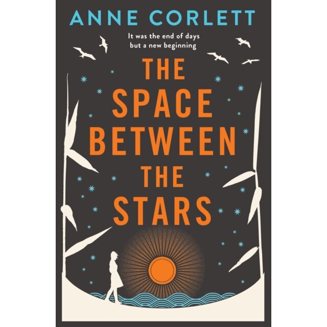 The Space Between the Stars de Anne Corlett