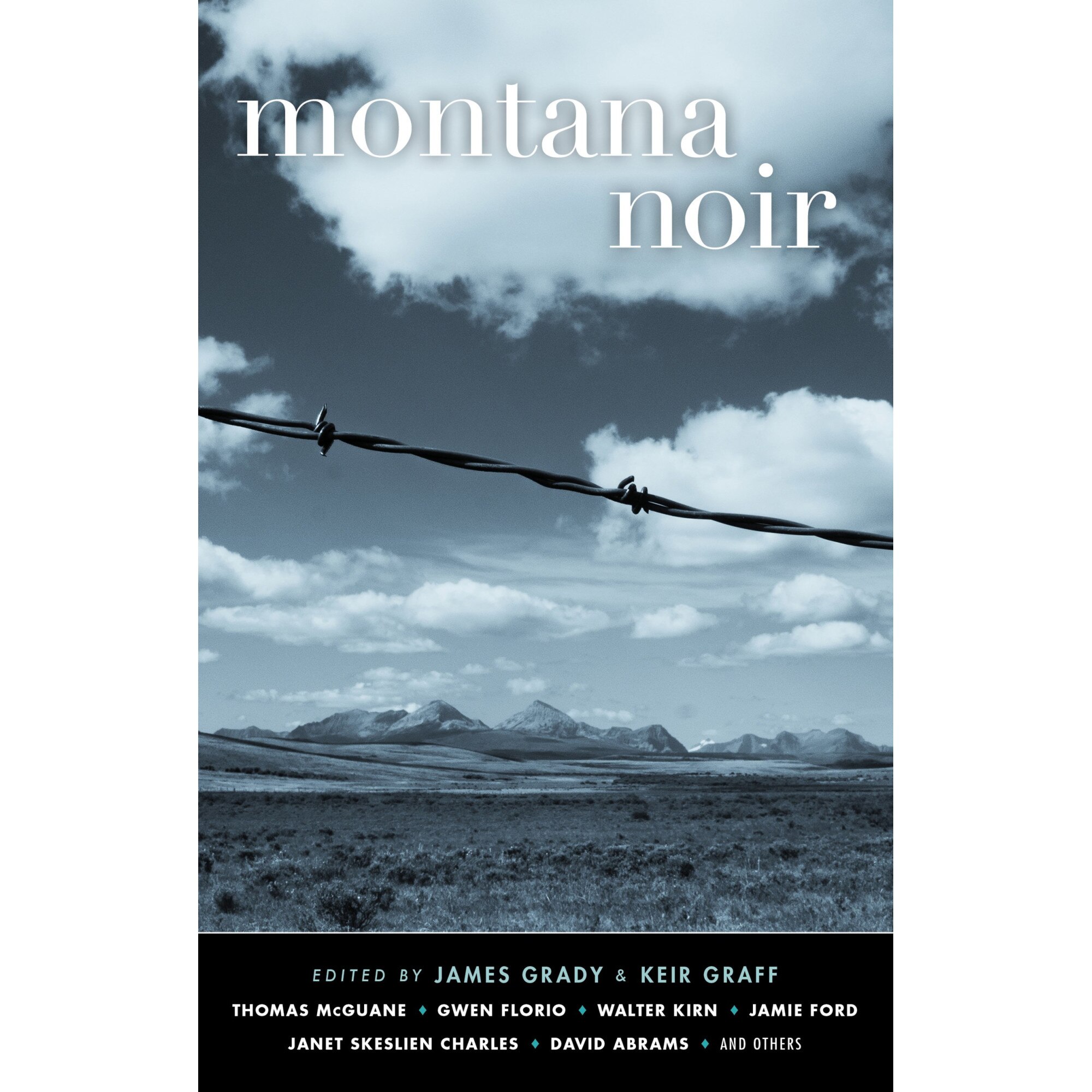 Montana Noir de James Grady