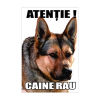 indicator atentie caine rau lup 20x30cm imagen 3_0_
0