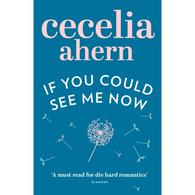 If You Could See Me Now de Cecelia Ahern