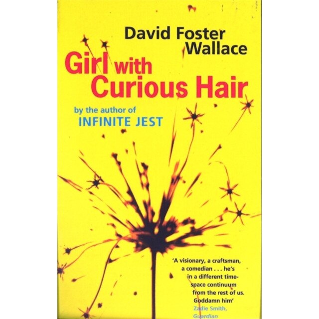 Girl with Curious Hair de David Foster Wallace