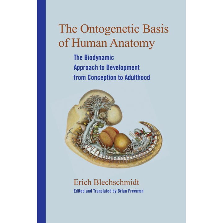 The Ontogenetic Basis of Human Anatomy de Erich Blechschmidt