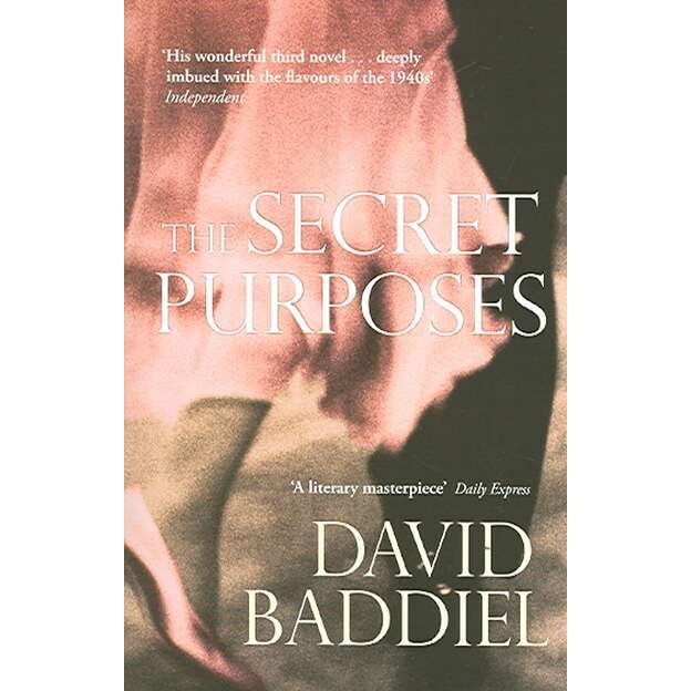 The Secret Purposes de David Baddiel