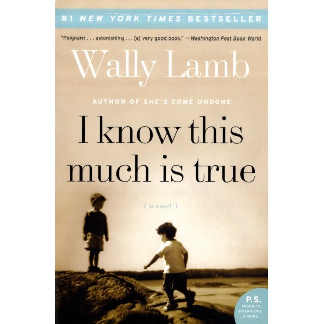 I Know This Much Is True de Wally Lamb