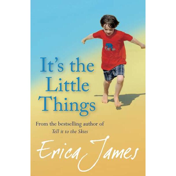 It's The Little Things de Erica James