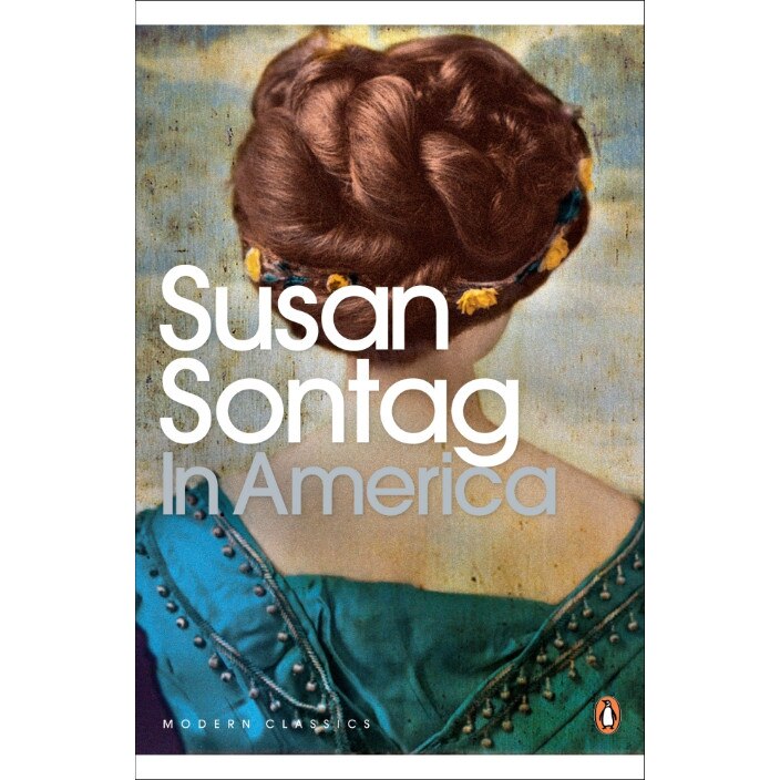 In America de Susan Sontag [Paperback]