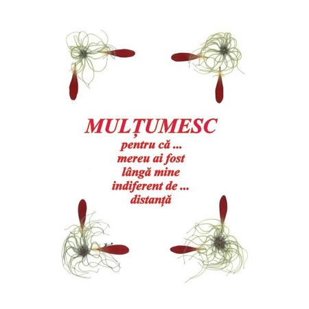 Set 10 Felicitari Oshi Cu Flori Multumesc 17a Emag Ro