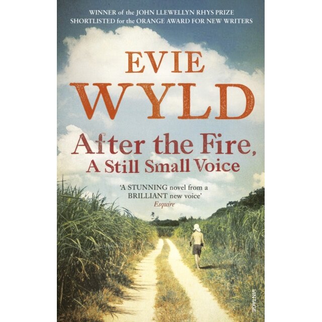 After the Fire, A Still Small Voice de Evie Wyld