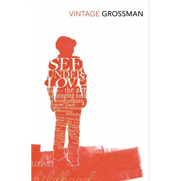 See Under Love de David Grossman