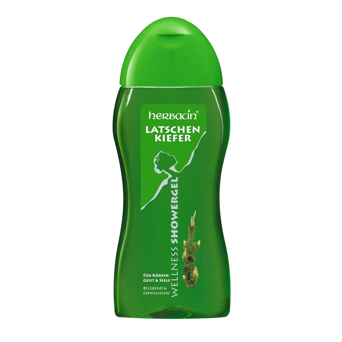 Gel de dus Wellness cu Molid, Herbacin, 300 ml