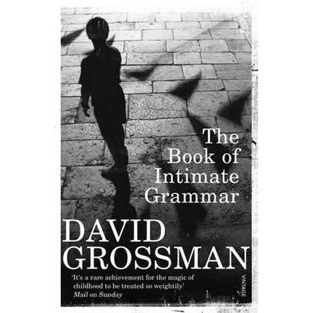 The Book Of Intimate Grammar de David Grossman