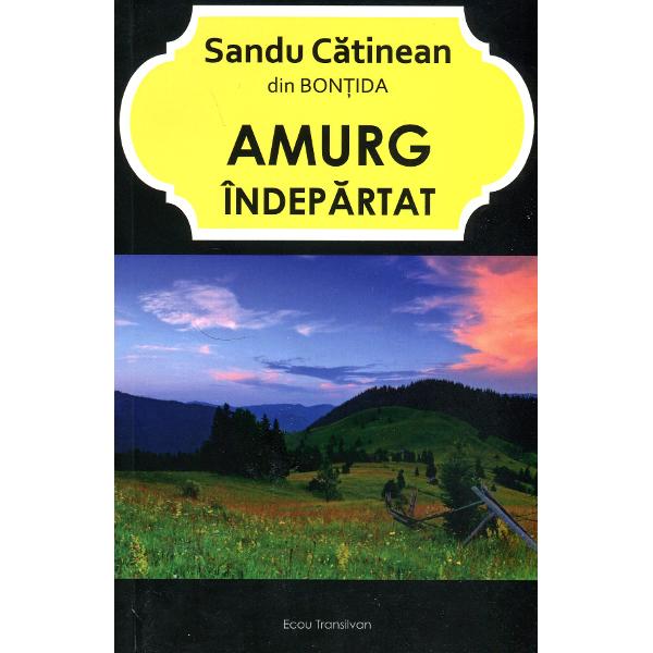 Amurg Indepartat - Sandu Catinean