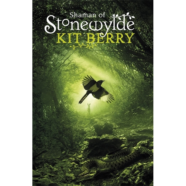 Shaman of Stonewylde de Kit Berry