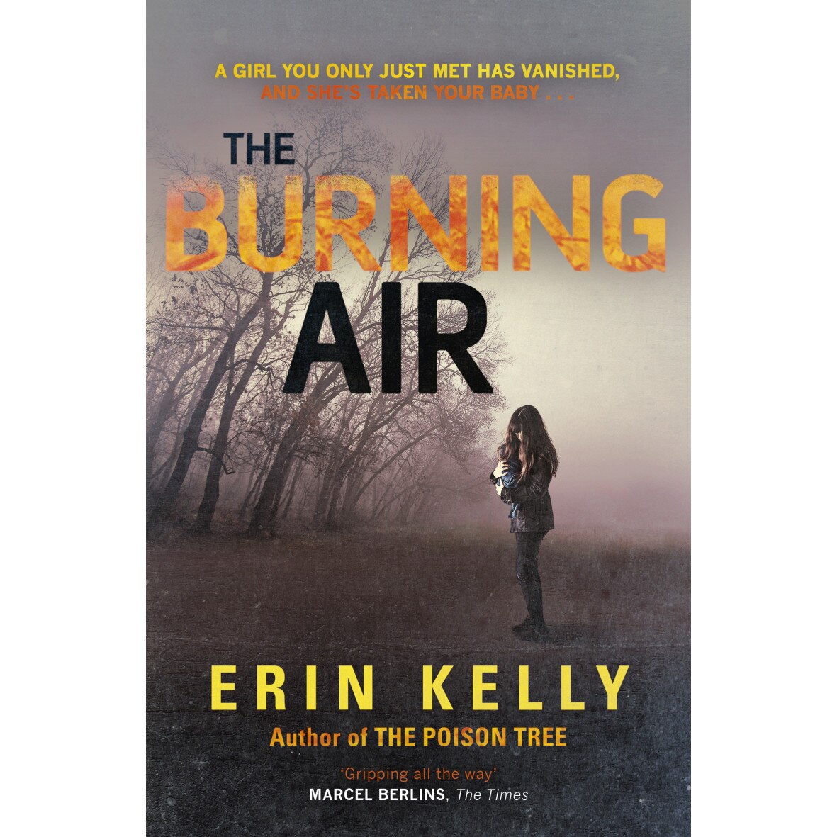 The Burning Air de Erin Kelly