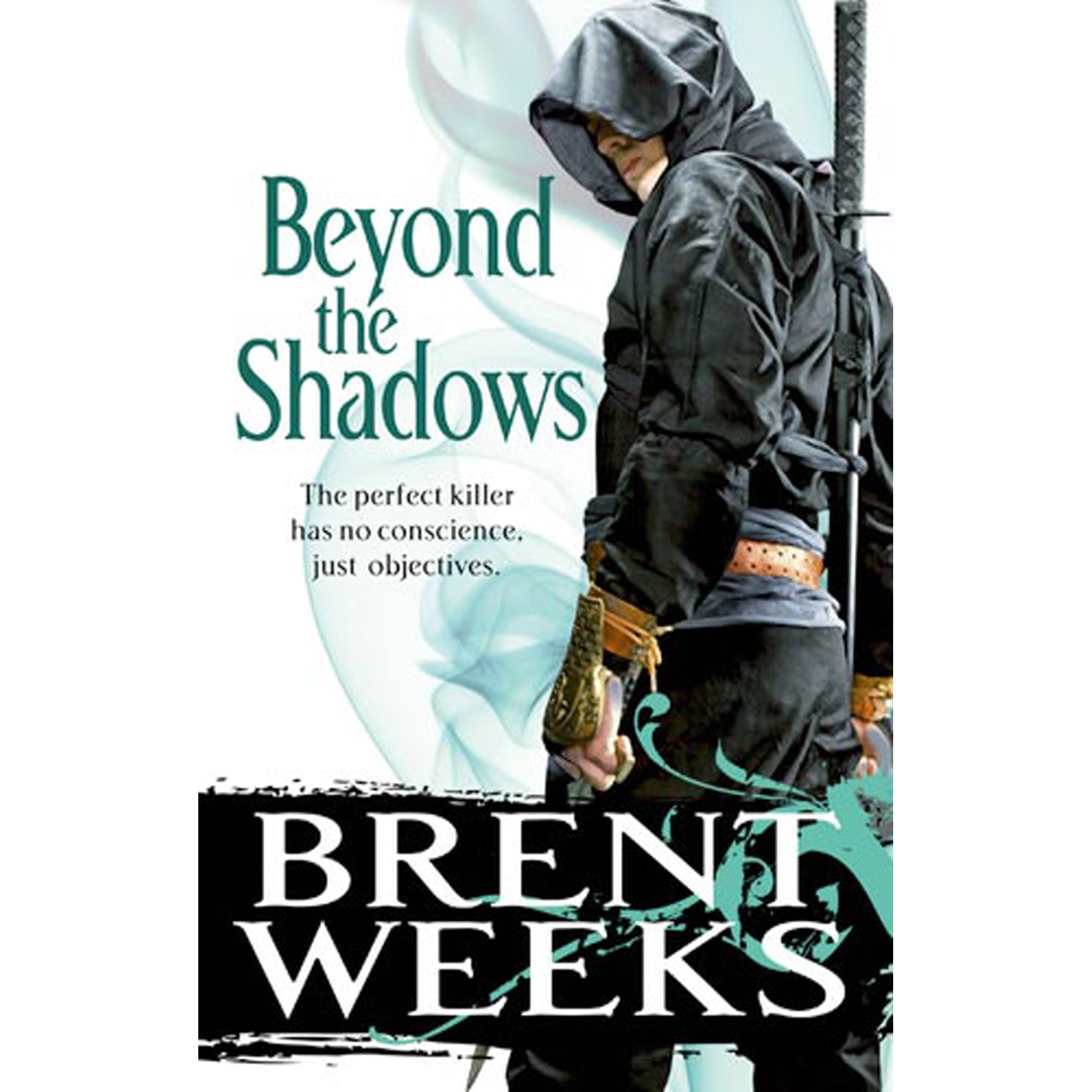 Beyond The Shadows de Brent Weeks