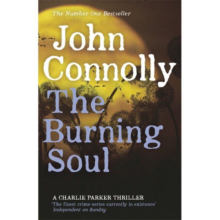 The Burning Soul de John Connolly